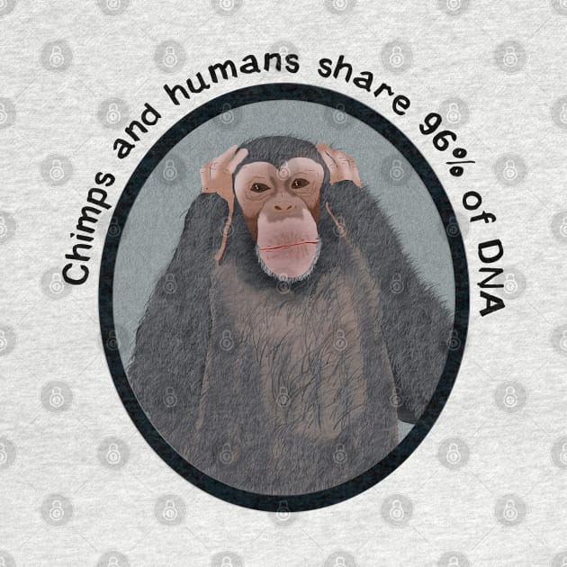 Chimps and Humans by ahadden